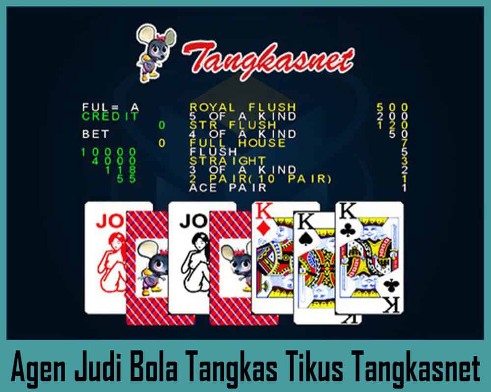 Agen Judi Bola Tangkas Tikus Tangkasnet